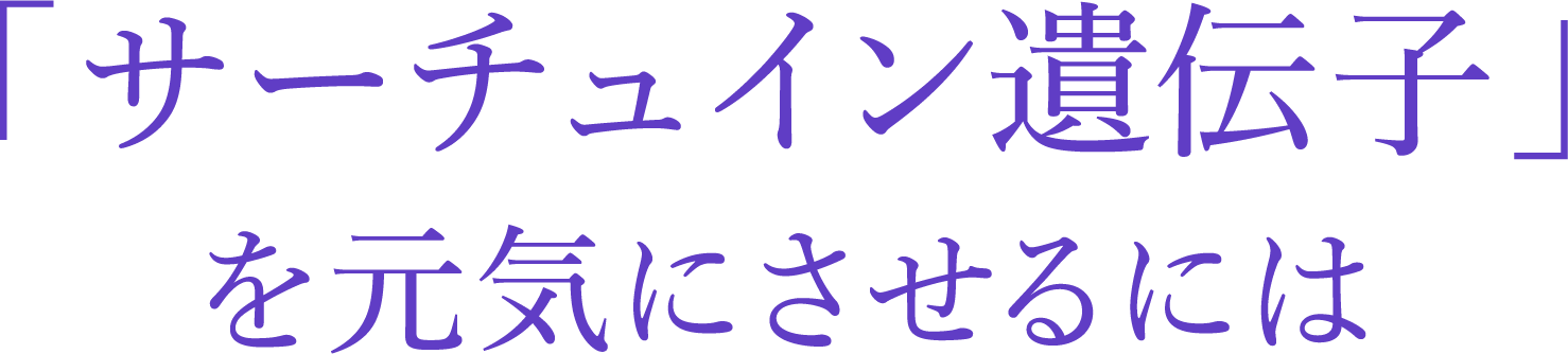 「サーチュイン遺伝子」を元気にさせるには