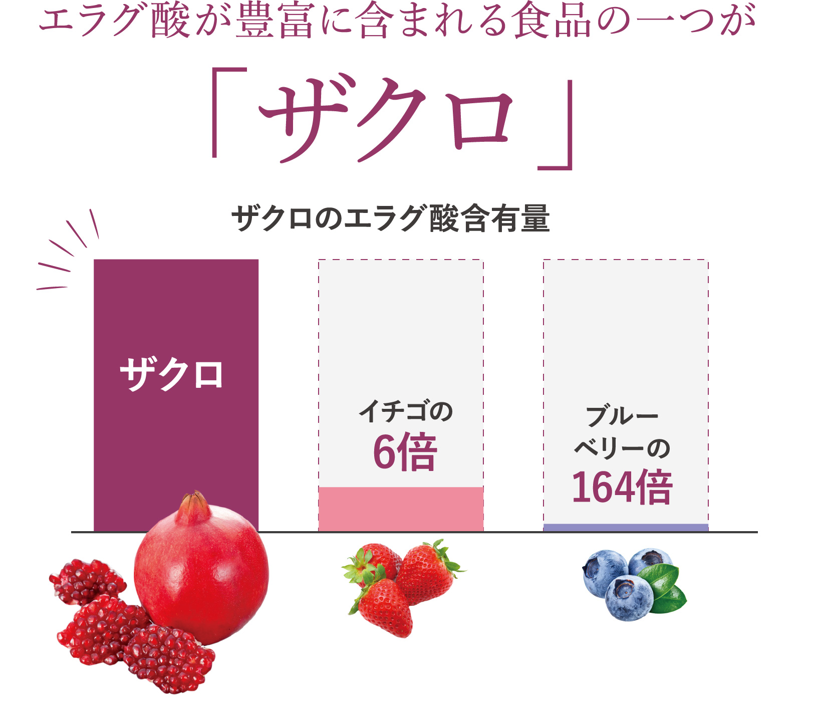 エラグ酸が豊富に含まれる食品の一つが「ザクロ」